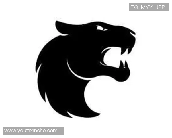 CSGO战术解析V5战队中路突破体系的成功秘诀与实战应用