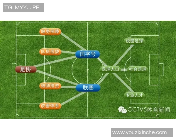 南京足球队实力解析：历史成就与未来发展展望