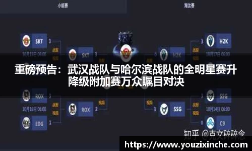 乐发Vlll