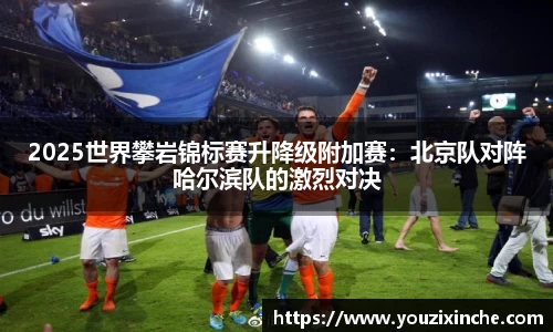 乐发V